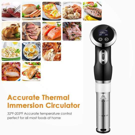 Platinum Precision Sous Vide Cooker Immersion Circulator