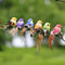 6pcs, Colorful Simulated Bird Shaped Decorations With Clips