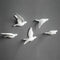 Triogift 5pcs 3D Pigeon Wall Hanging Wall Paste Creative Porch