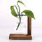 Hydroponic Plant Terrarium Vasevase Decoration Home Glass Bottle