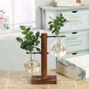 Hydroponic Plant Terrarium Vasevase Decoration Home Glass Bottle