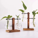 Hydroponic Plant Terrarium Vasevase Decoration Home Glass Bottle