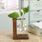 Hydroponic Plant Terrarium Vasevase Decoration Home Glass Bottle