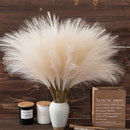 Simulation Reed Grass Pampas Grass