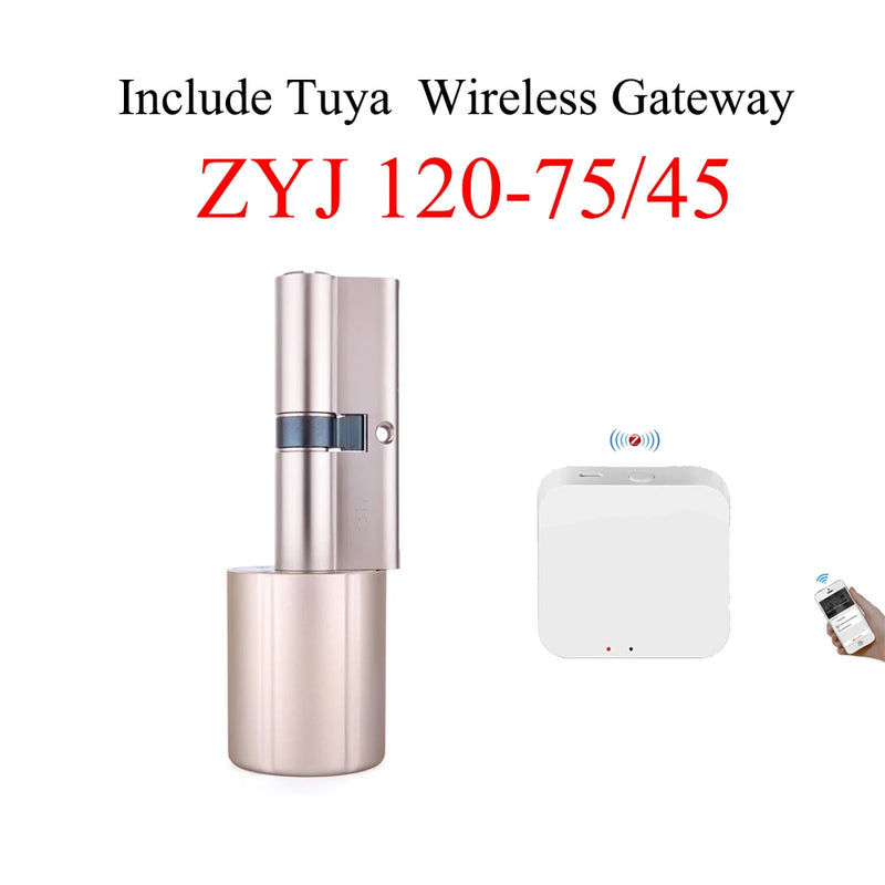 Tuya Smart Lock Cylinder Electronic key Wireless