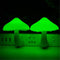 LED Night Light Mushroom Wall Socket Lamp EU US AU Plug Warm-White light.