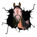 Horse Car Window Sticker